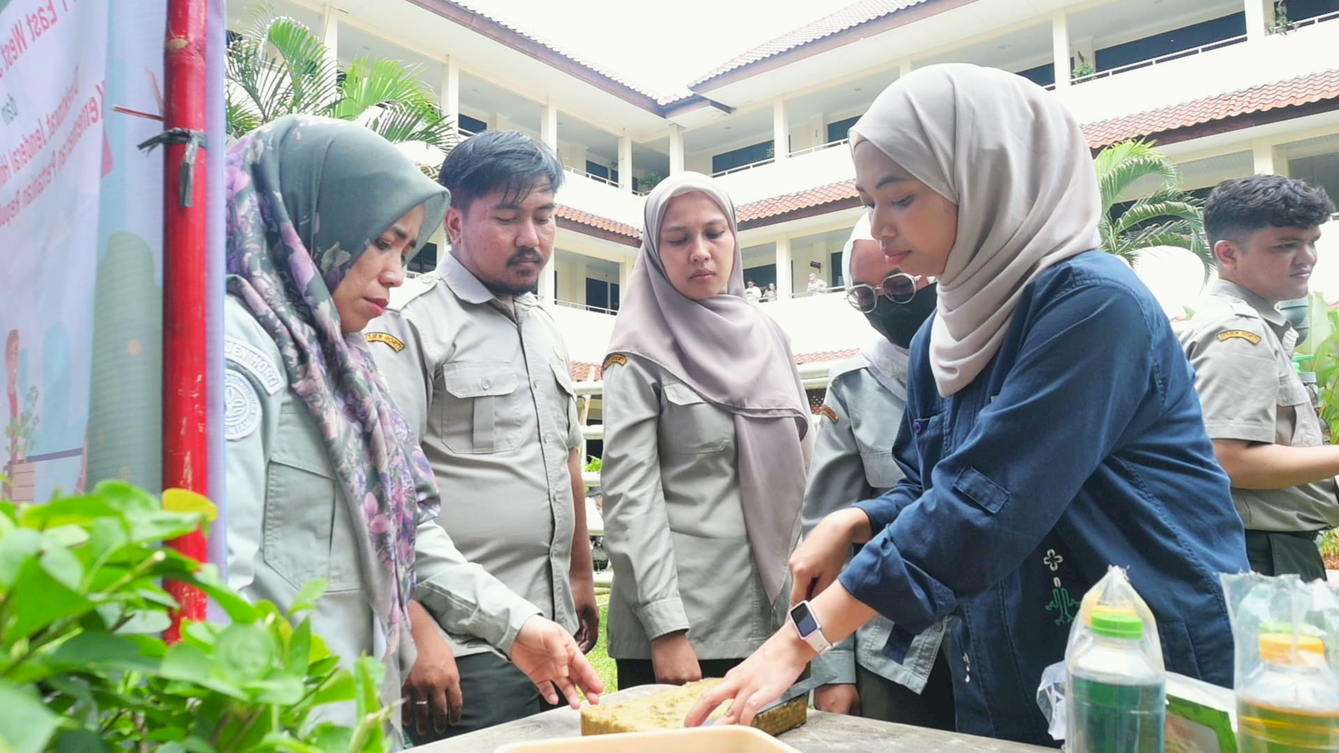 lestari kota di direktorat jendral hortikultur - kemeterian pertanian