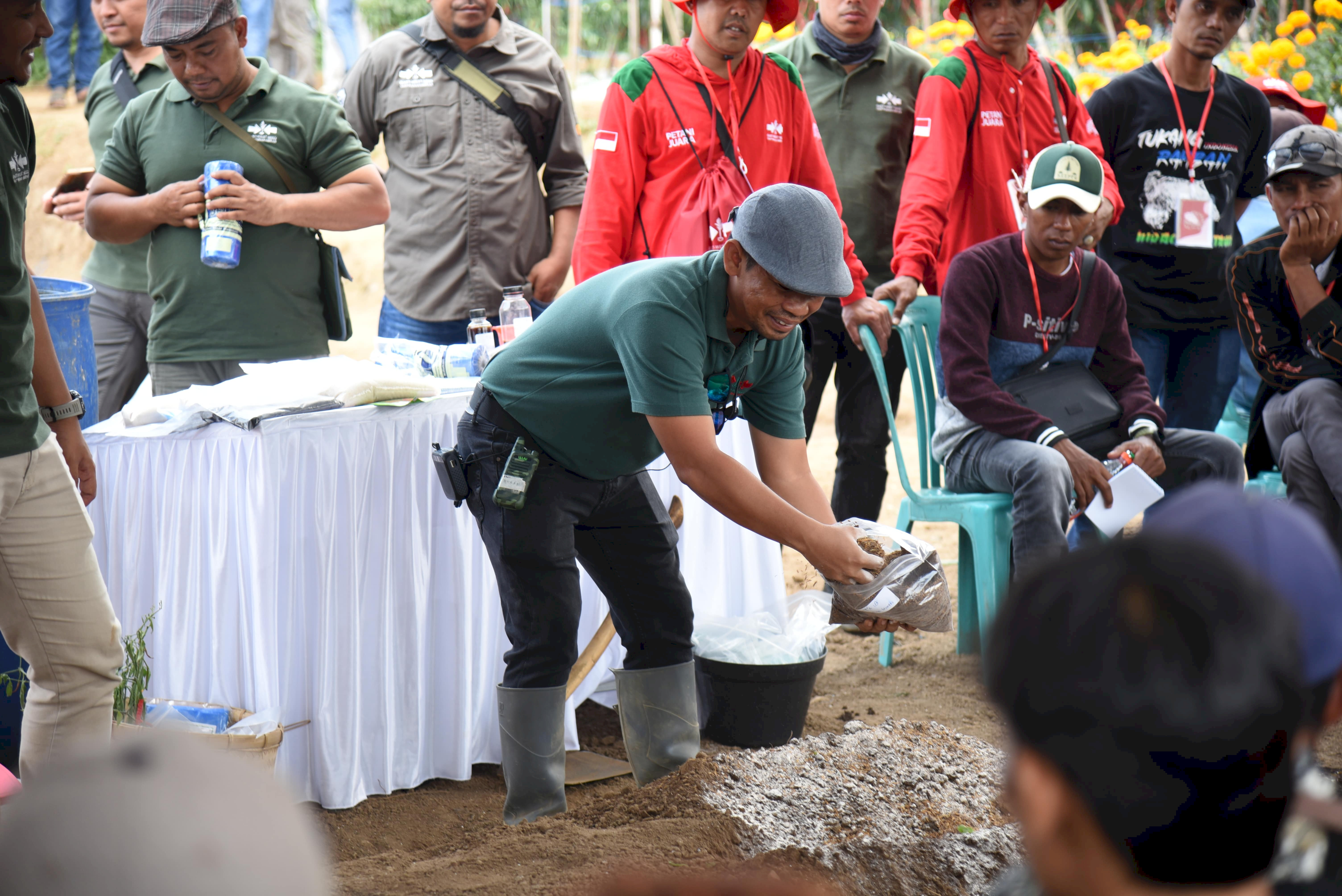 demoplot sebagai sarana untuk EWINDO memberikan edukasi ke Petani