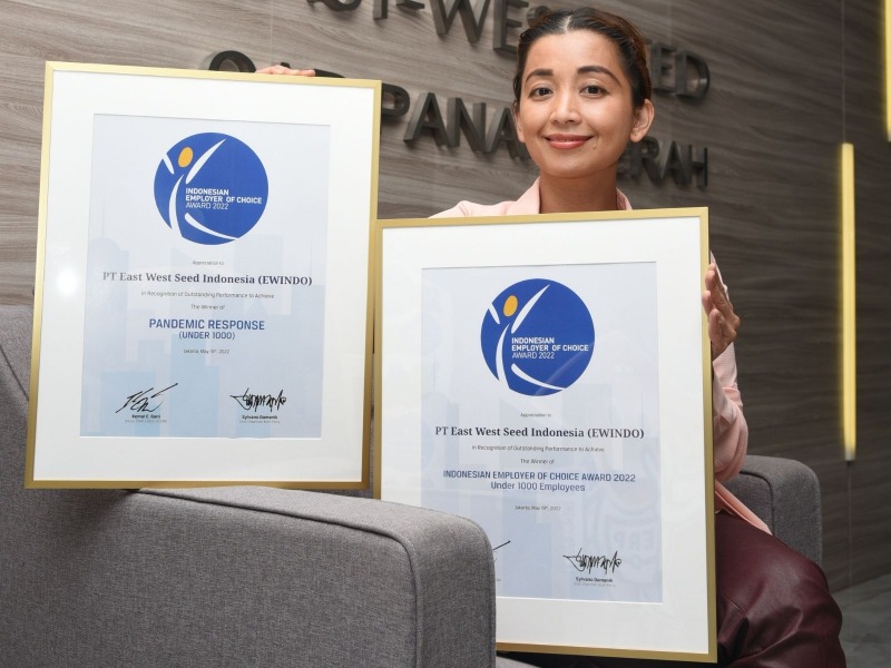 EWINDO Rewarded SWA Awards in Two Categories 