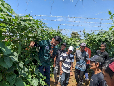 Berdampak Besar Kepada Petani, EWINDO Perbanyak Learning Farm