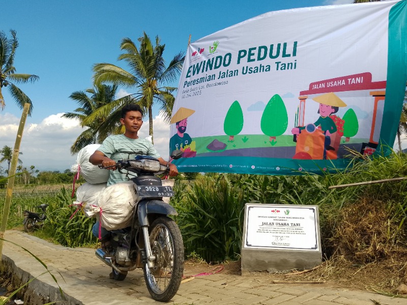 ewindo