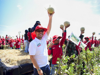 Raih Rekor MURI, 1.000 Lebih Petani Panen Melon DAVINA F1 di Nganjuk 