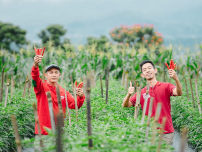 Dari Tantangan Menjadi Peluang, Petani Indonesia Bangkit Bersama Inovasi dan Pendampingan EWINDO