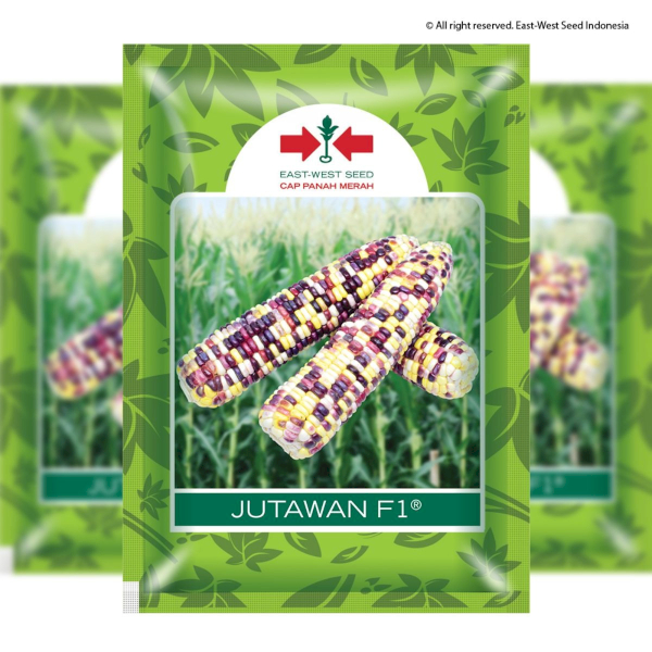 Product | PT East West Seed Indonesia