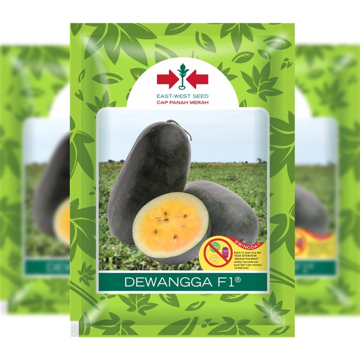 DEWANGGA