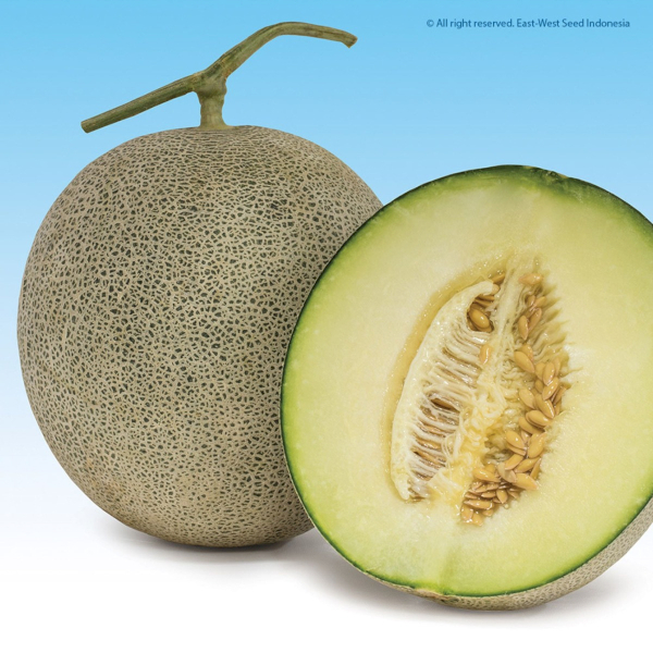 Product | PT East West Seed Indonesia